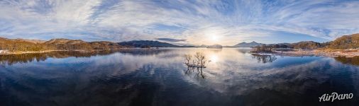 Trees of Hibara Lake