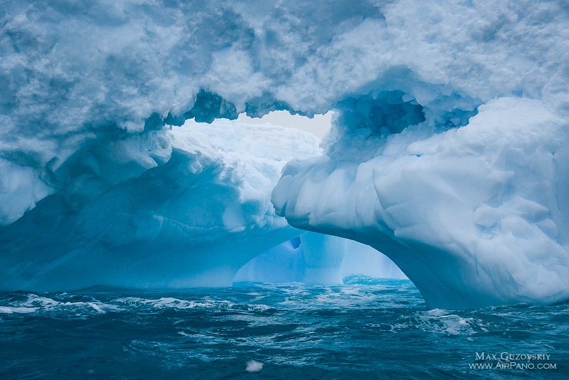 Antarctica Antarctica