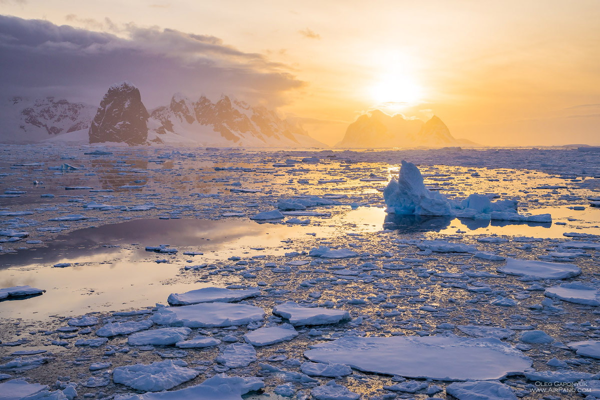 Antarctica Antarctica