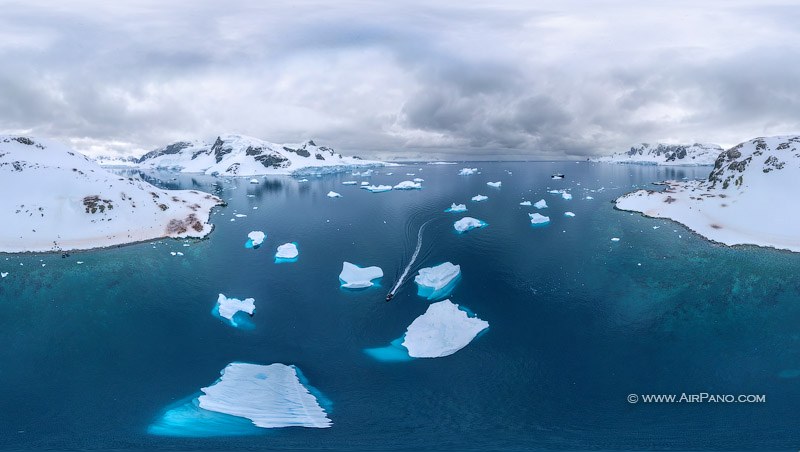 Antarctica Antarctica
